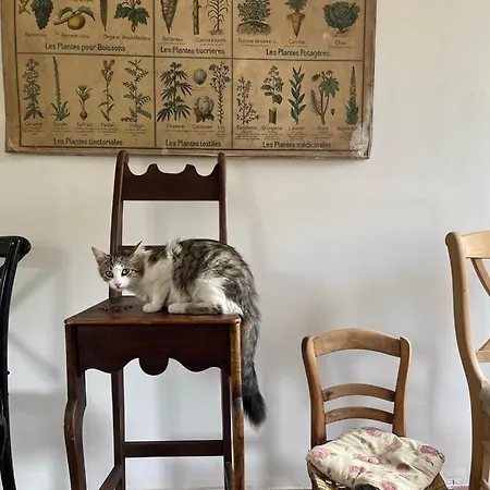 Frühstückspension La Chaise Haute *